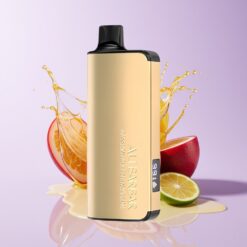 Hungary Wholesalers Alibarbar Ingot 9000 Puff Passiógyümölcs Mangó Lime 22ml 2350mAh LED