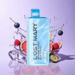 Hungary Wholesalers Lost Mary MT15000 15000 száj Kék Málna Jég Dual Mesh Coil 11W/22W