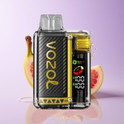 Hungary Wholesalers VOZOL Vista 20000 Puffs Dragon Fruit Banana Cherry S.i.L.C Tech Dual Mesh Coil 650mAh